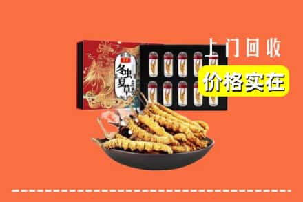 无极县回收冬虫夏草
